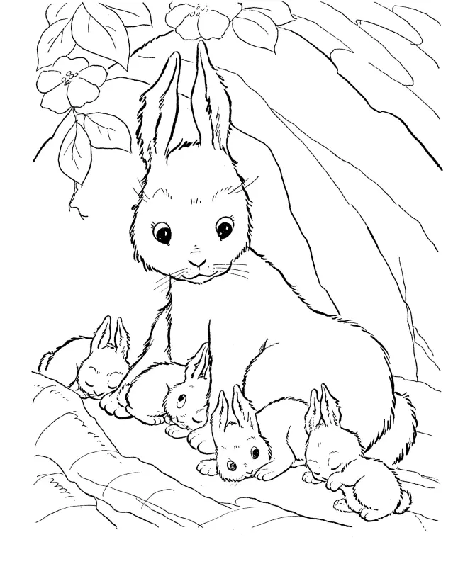 Conejos Para Colorear 8