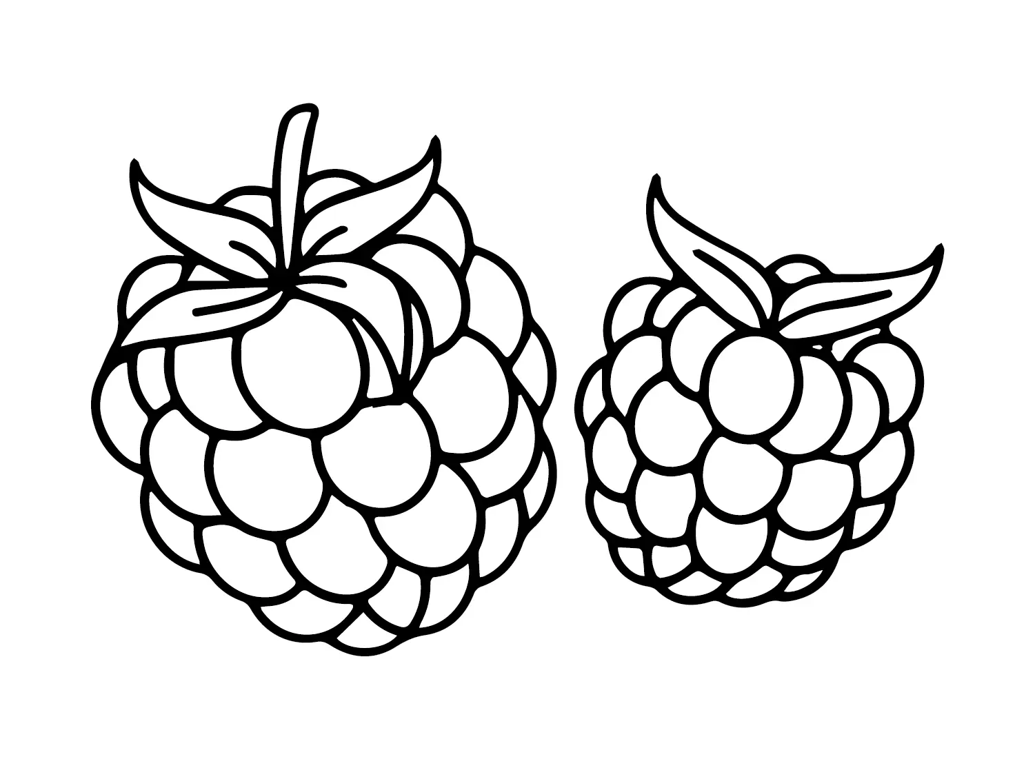 Desenhos de Framboesa Para Colorir 1