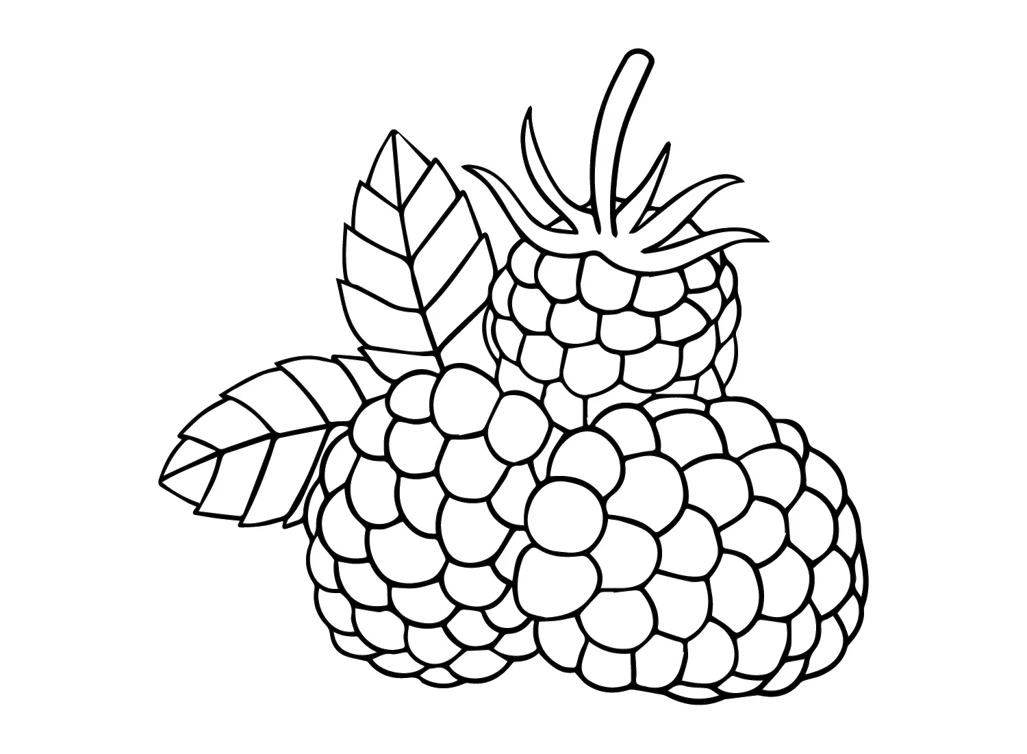 Desenhos de Framboesa Para Colorir 14