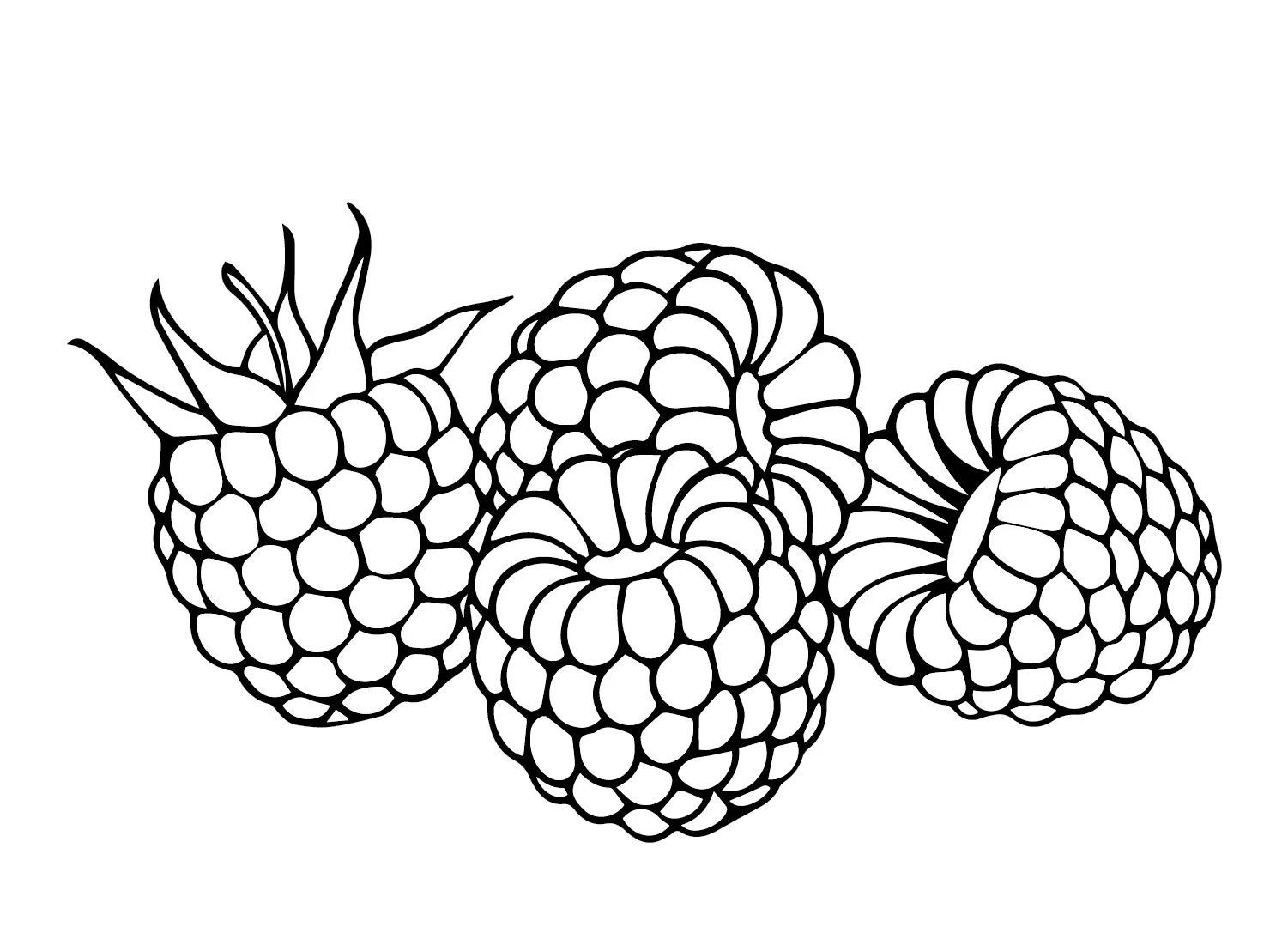 Desenhos de Framboesa Para Colorir 15