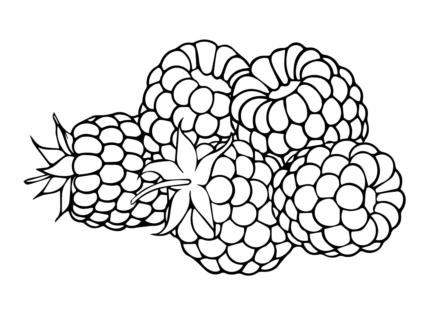 Desenhos de Framboesa Para Colorir 22