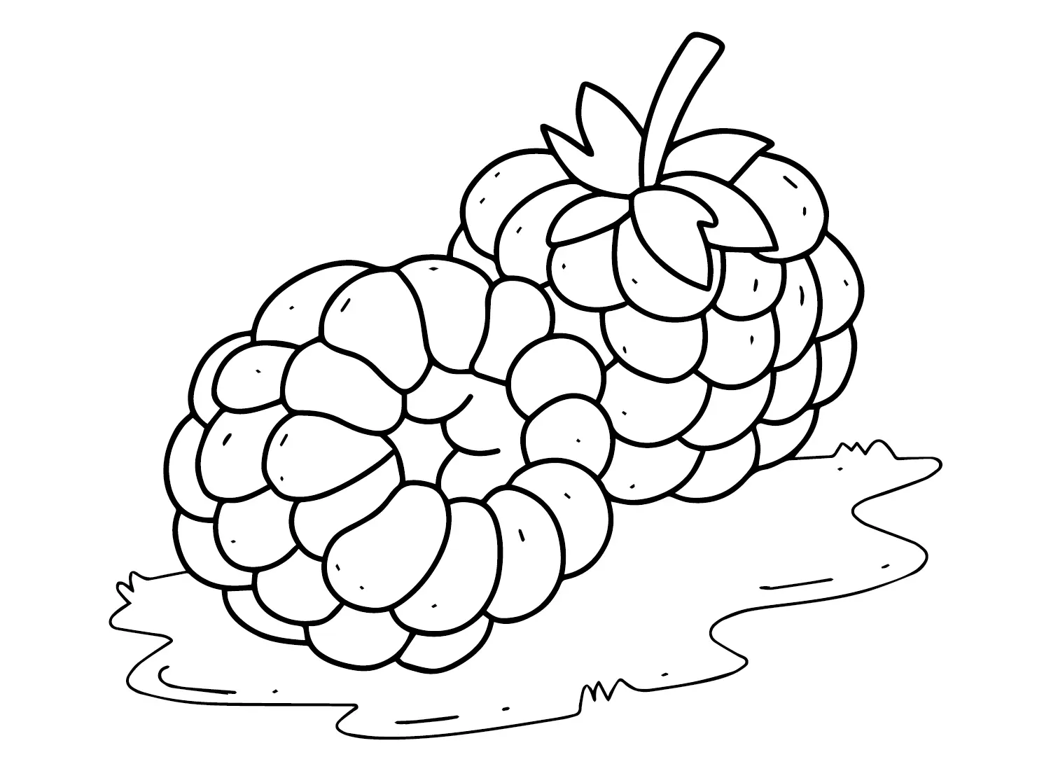 Desenhos de Framboesa Para Colorir 6