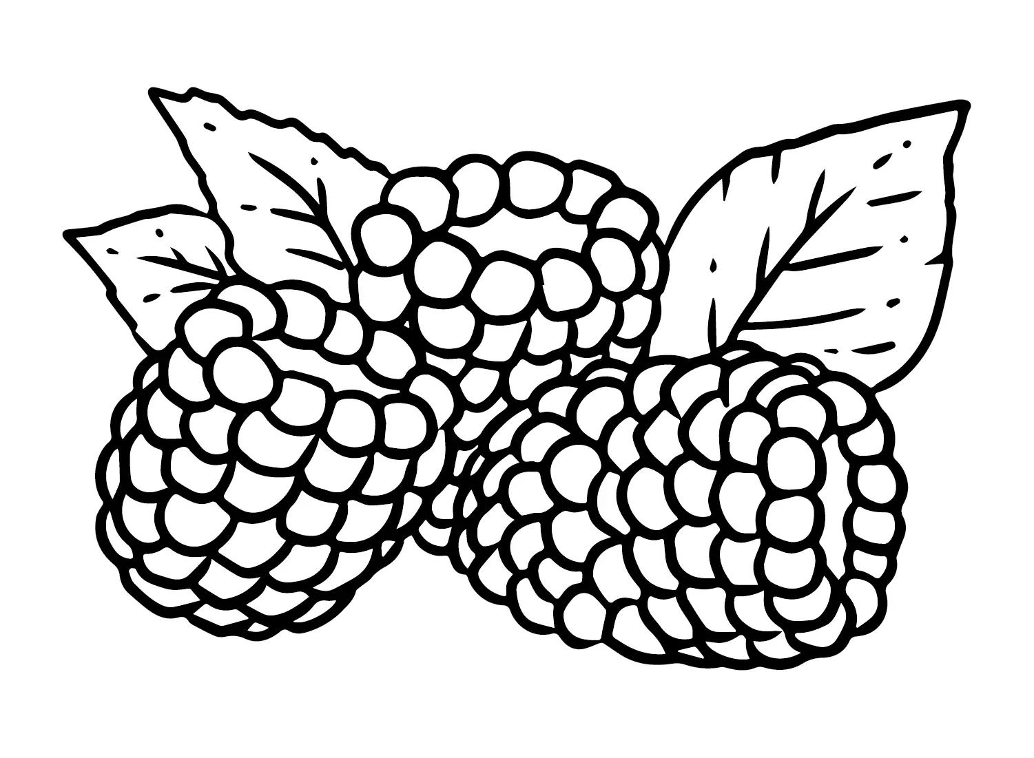 Desenhos de Framboesa Para Colorir 8