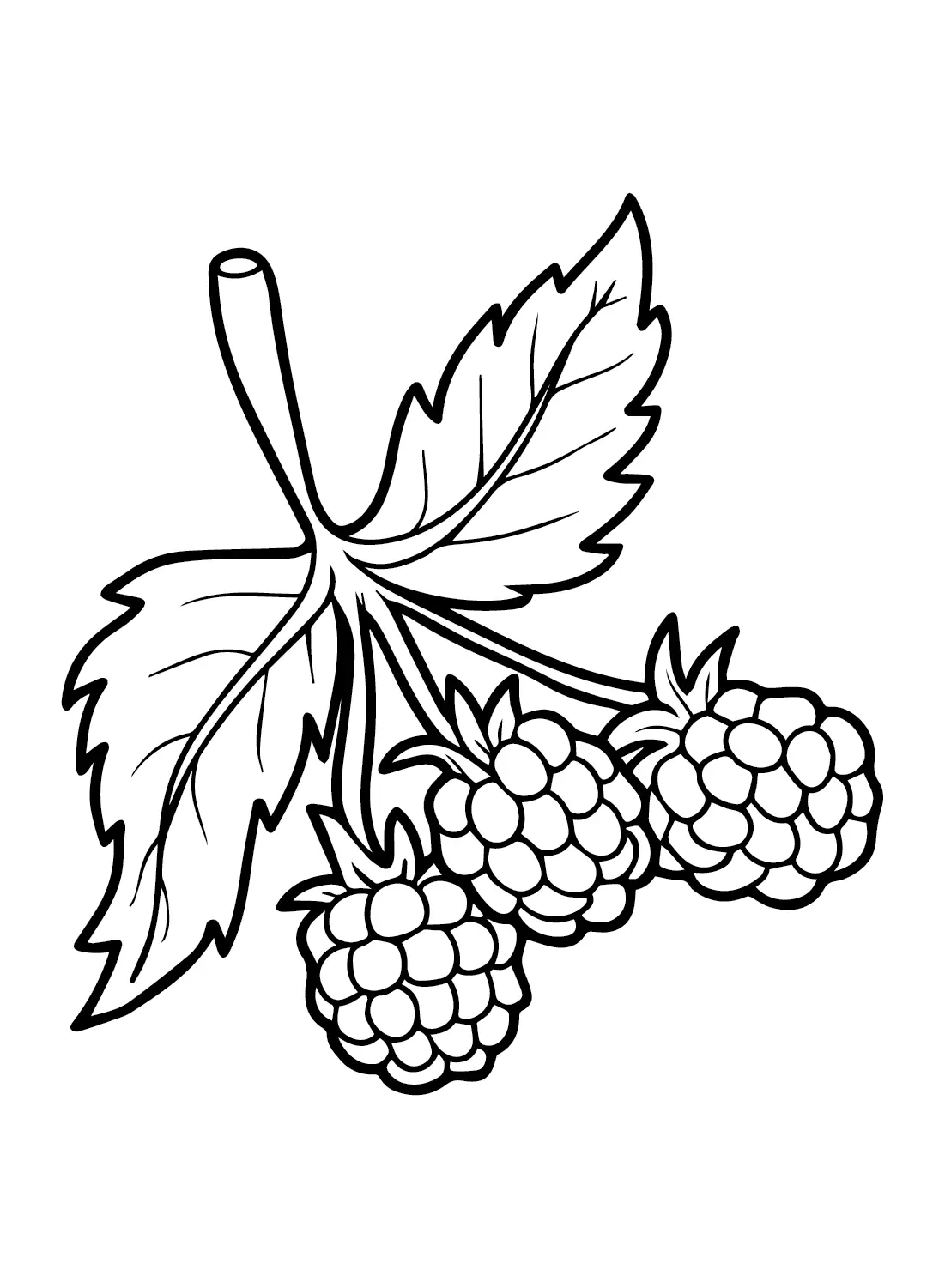 Desenhos de Framboesa Para Colorir 9