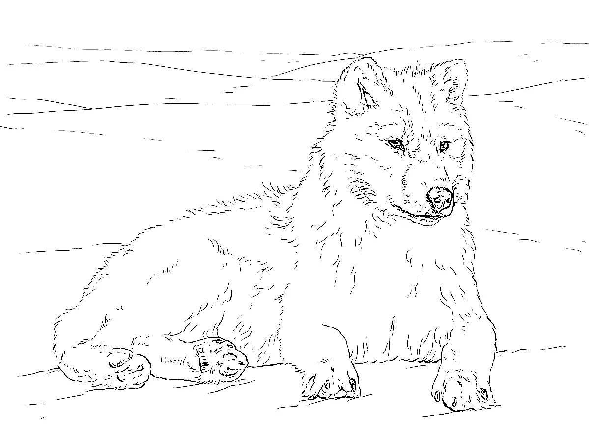 Desenhos de Paginas de Animais Realistas Para Colorir 18