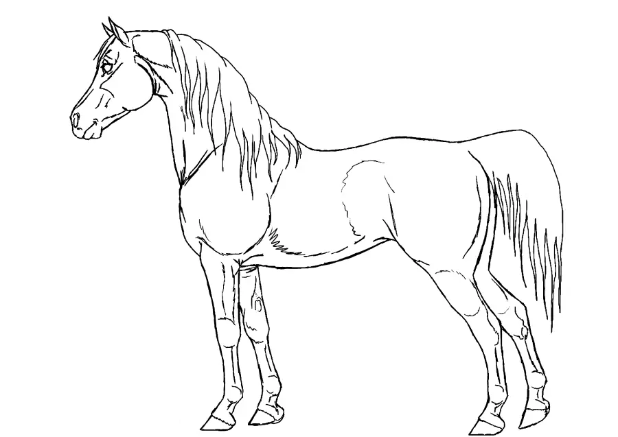 Desenhos de Paginas de Animais Realistas Para Colorir 30