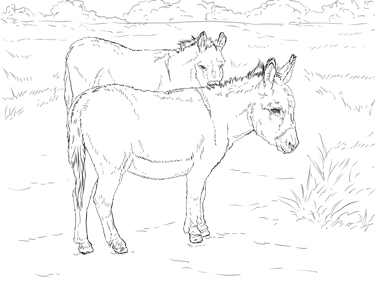 Desenhos de Paginas de Animais Realistas Para Colorir 37