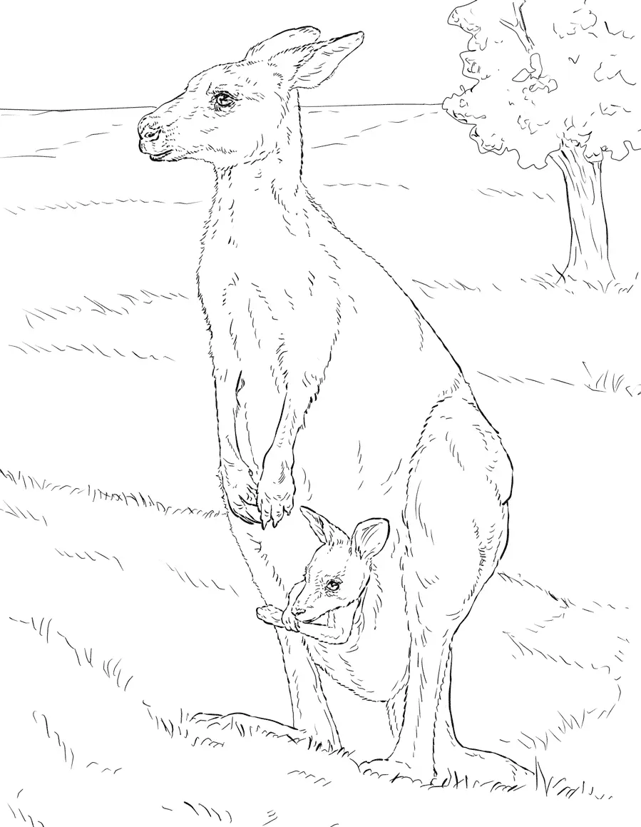 Desenhos de Paginas de Animais Realistas Para Colorir 40