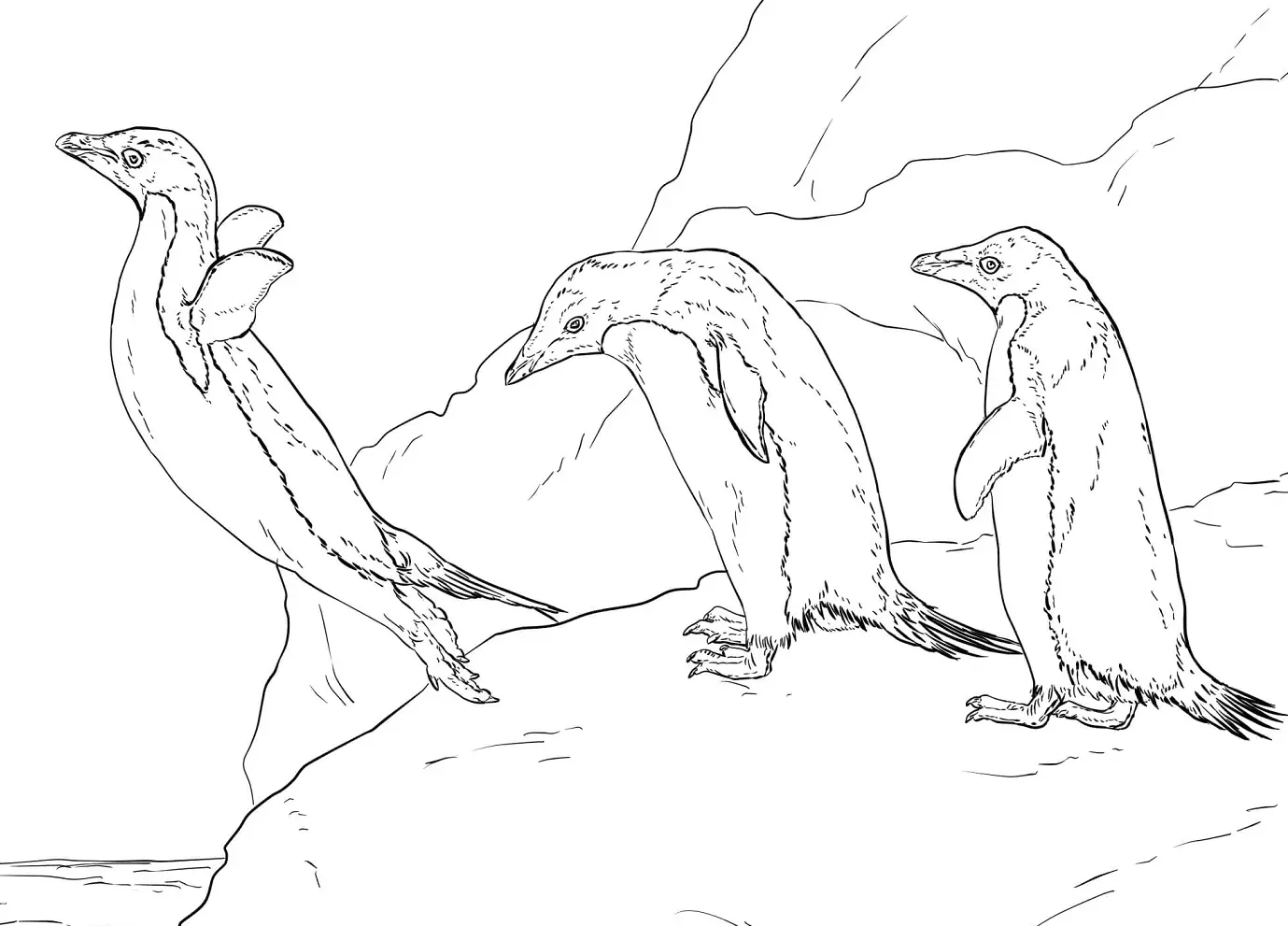 Realistic Animal Coloring Pages 57