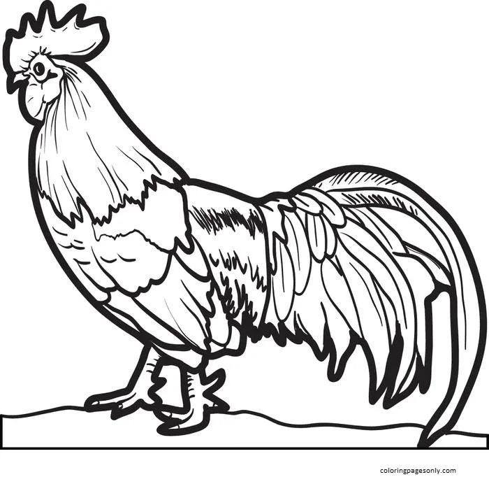Desenhos de Paginas de Animais Realistas Para Colorir 6