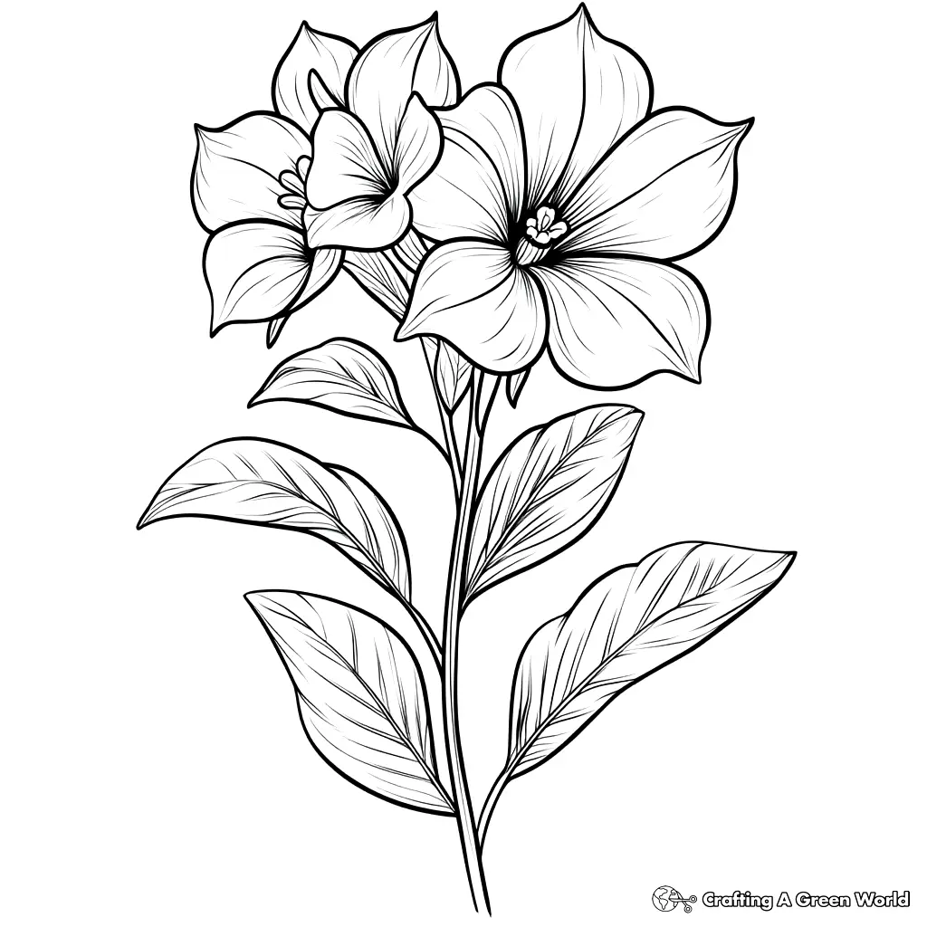 Realistische Blumen Ausmalbilder 168