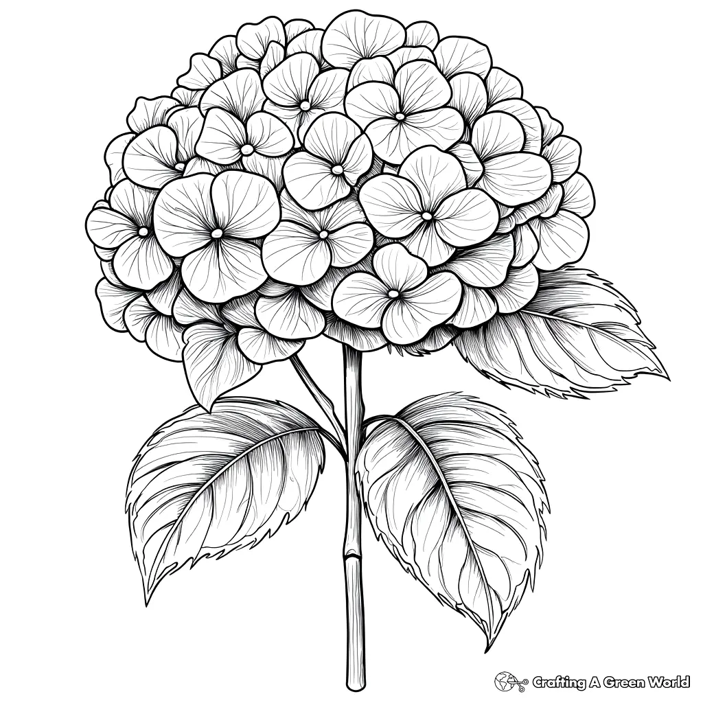 Realistische Blumen Ausmalbilder 54