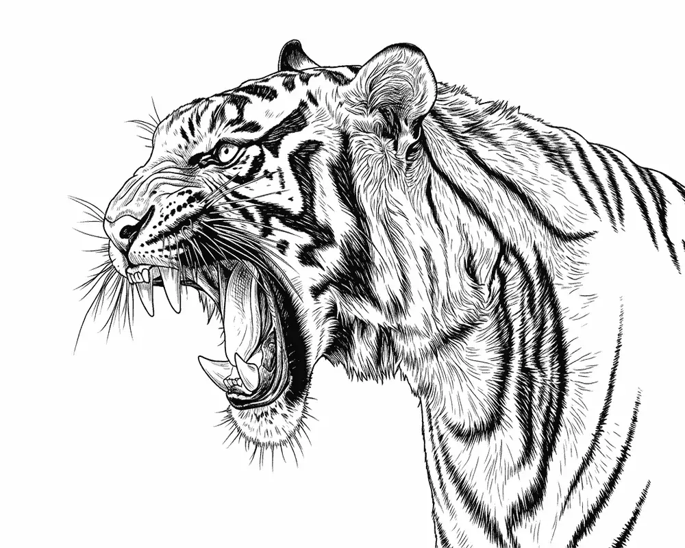 Tigre Realista para Colorear 3