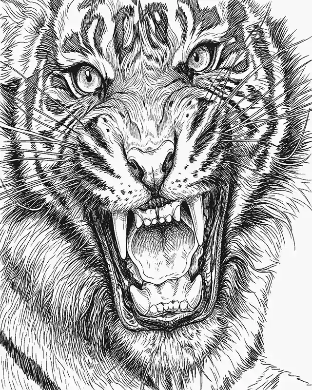 Tigre Realista para Colorear 9