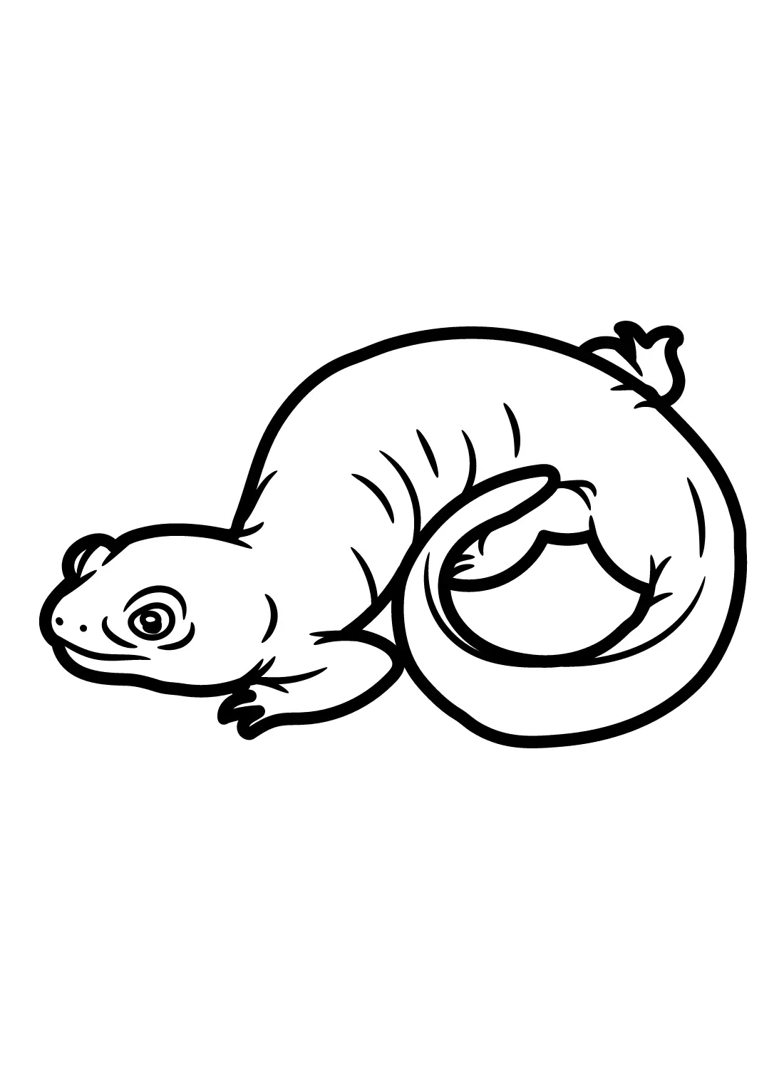 Salamander Coloring Pages 11