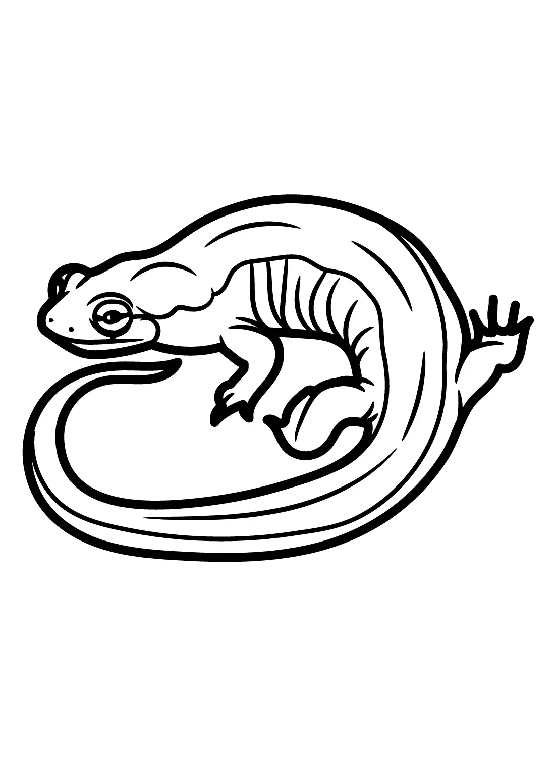 Salamander Coloring Pages 12