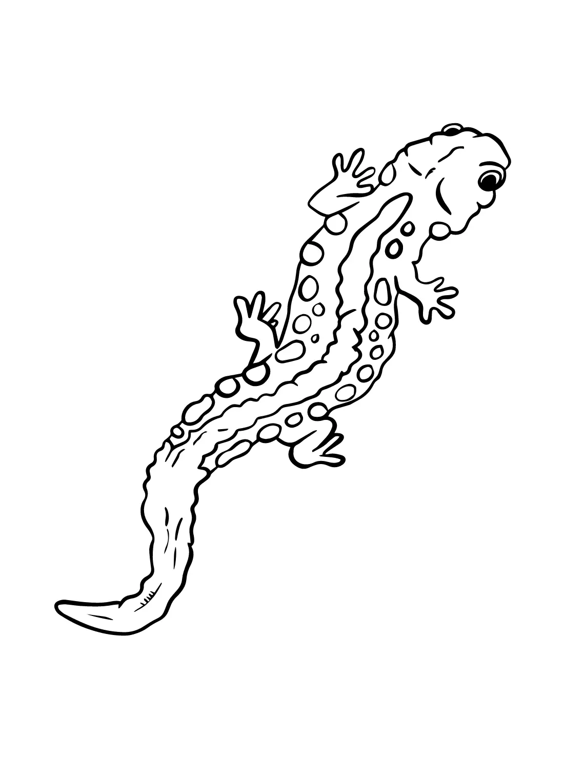 Salamander Coloring Pages 16