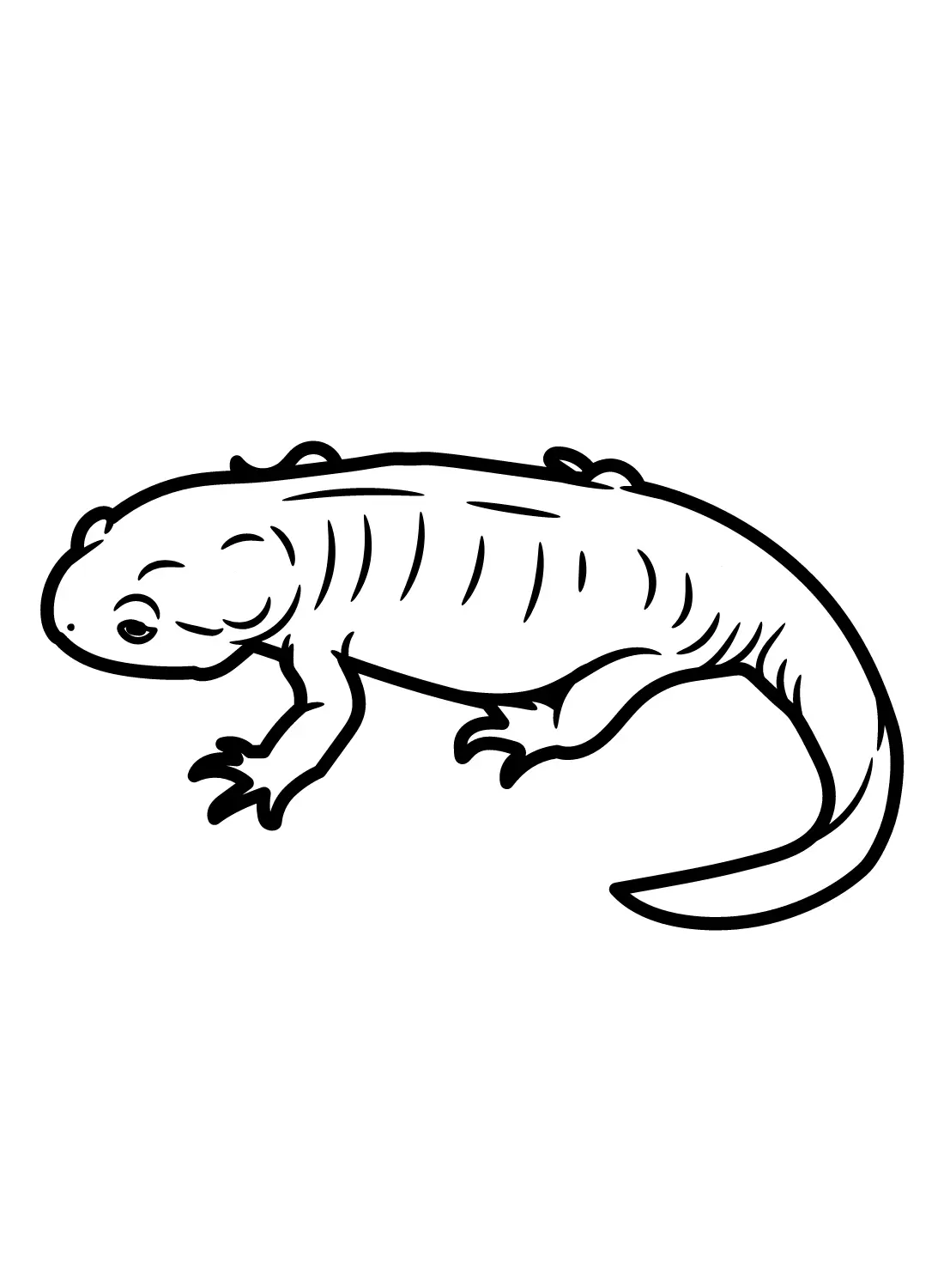 Salamander Coloring Pages 18