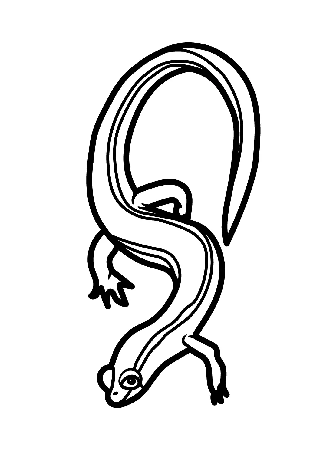 Salamander Coloring Pages 2