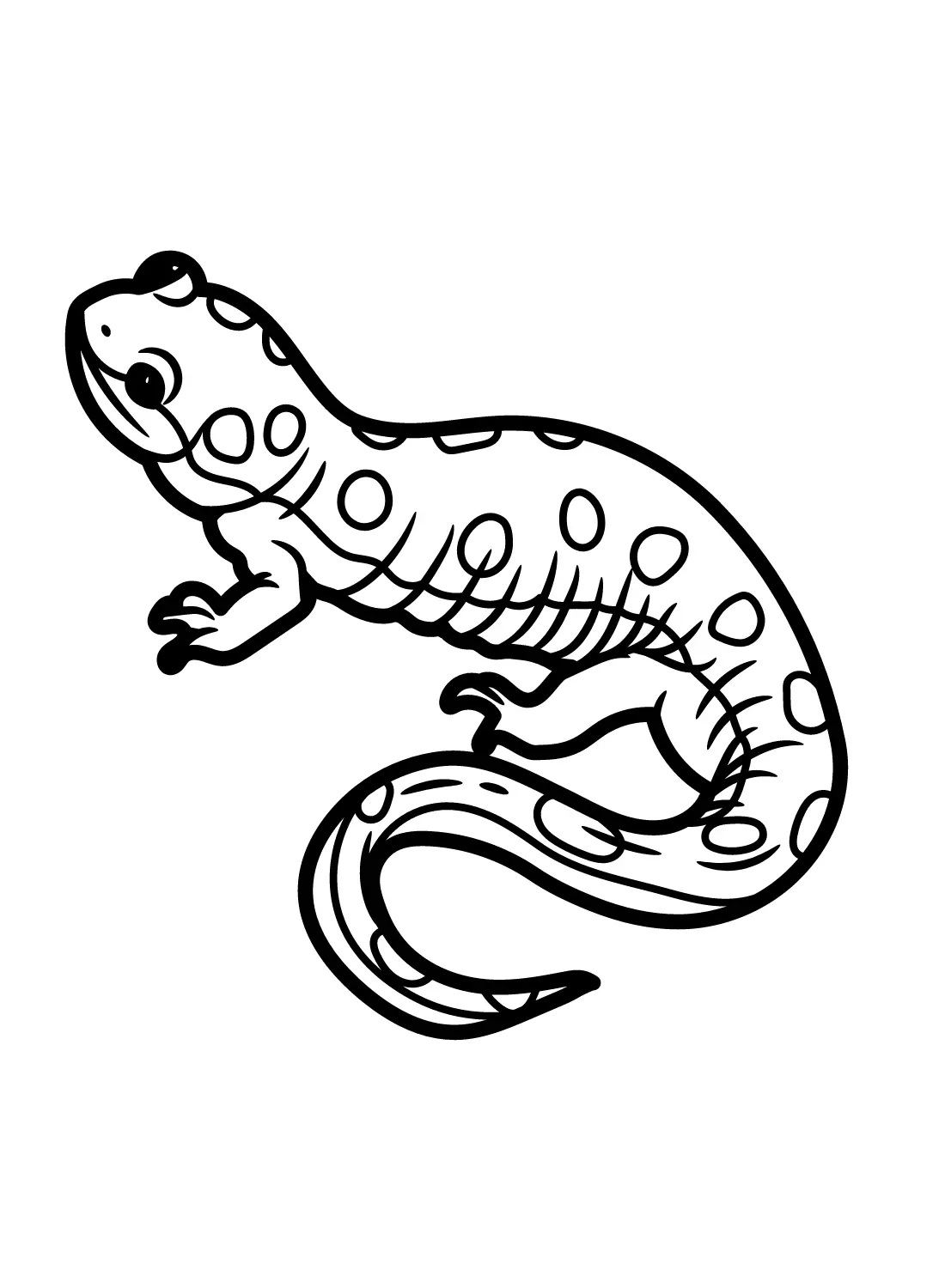 Salamander Coloring Pages 3
