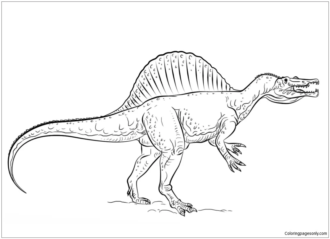 Saurischische Dinosaurier Ausmalbilder 13