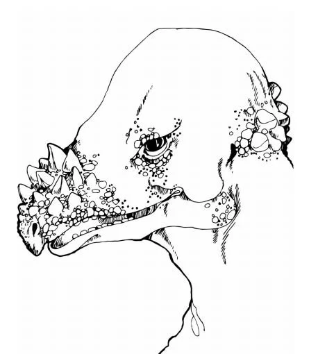 Saurischische Dinosaurier Ausmalbilder 33
