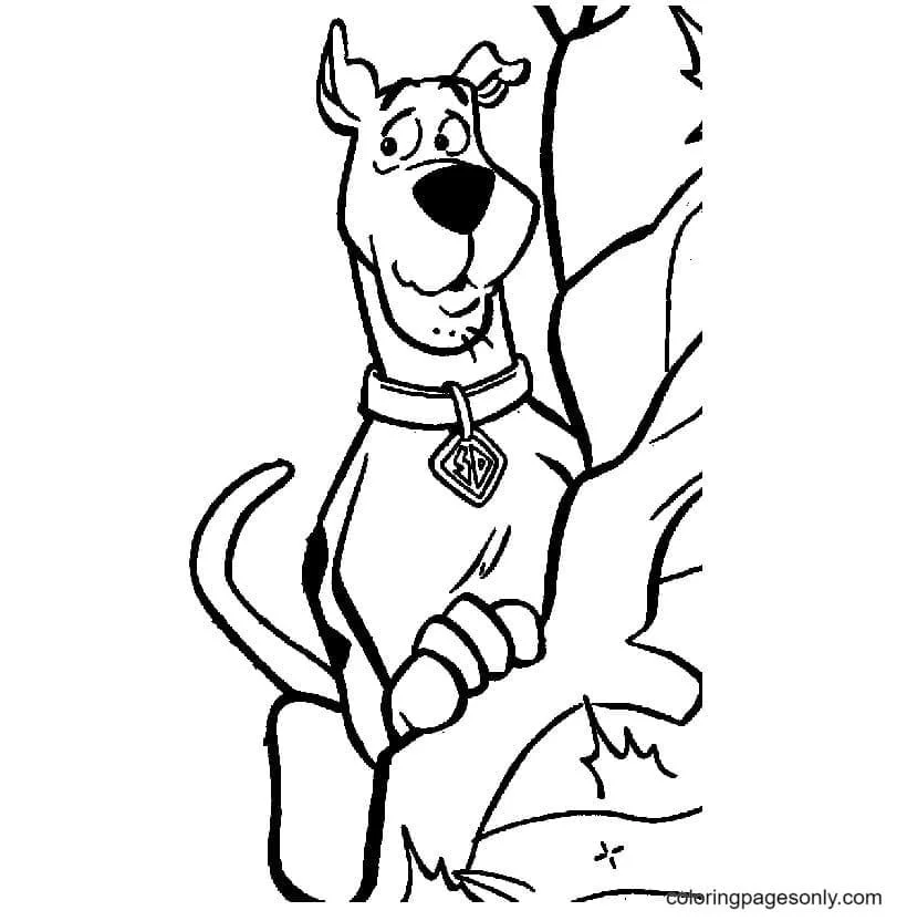 Scooby Doo Coloring Pages 68