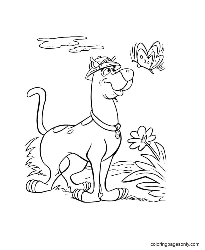 Scooby Doo Coloring Pages 87