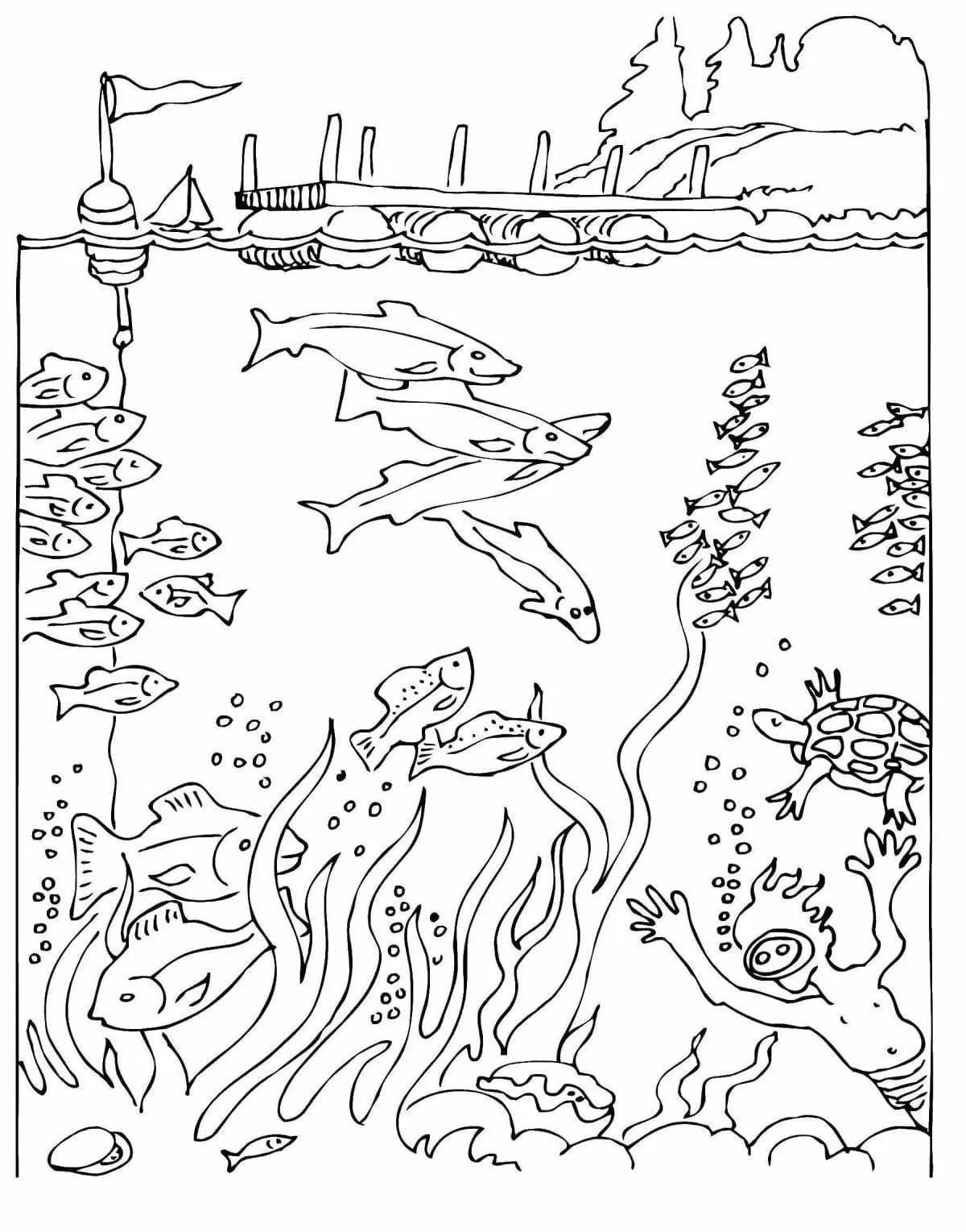 Desenhos de Mergulho Para Colorir 37