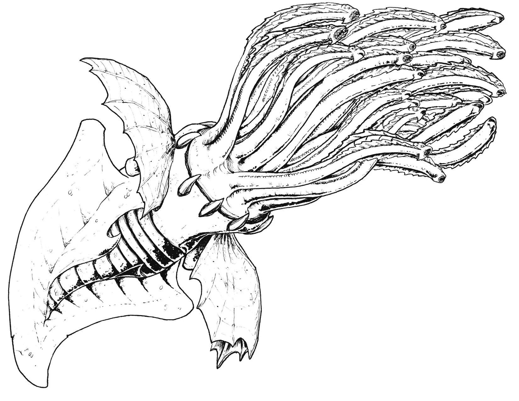 Monstruo Marino para Colorear 32