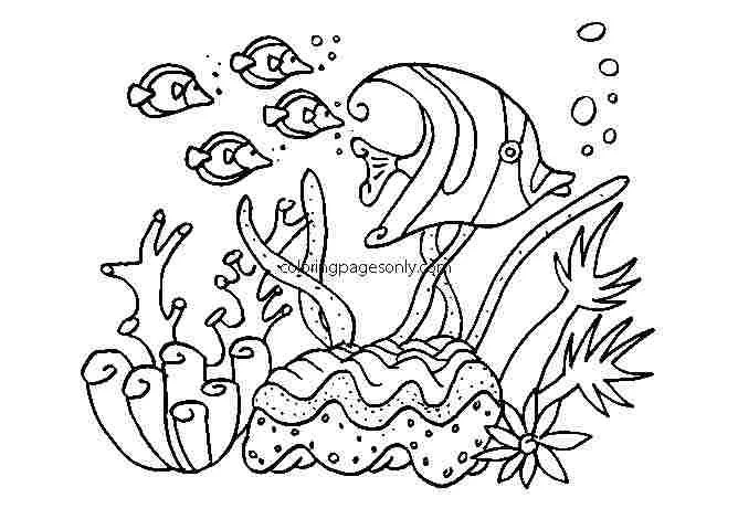 Mares Y Oceanos Para Colorear 25