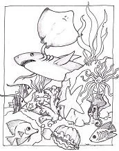 Mares Y Oceanos Para Colorear 3