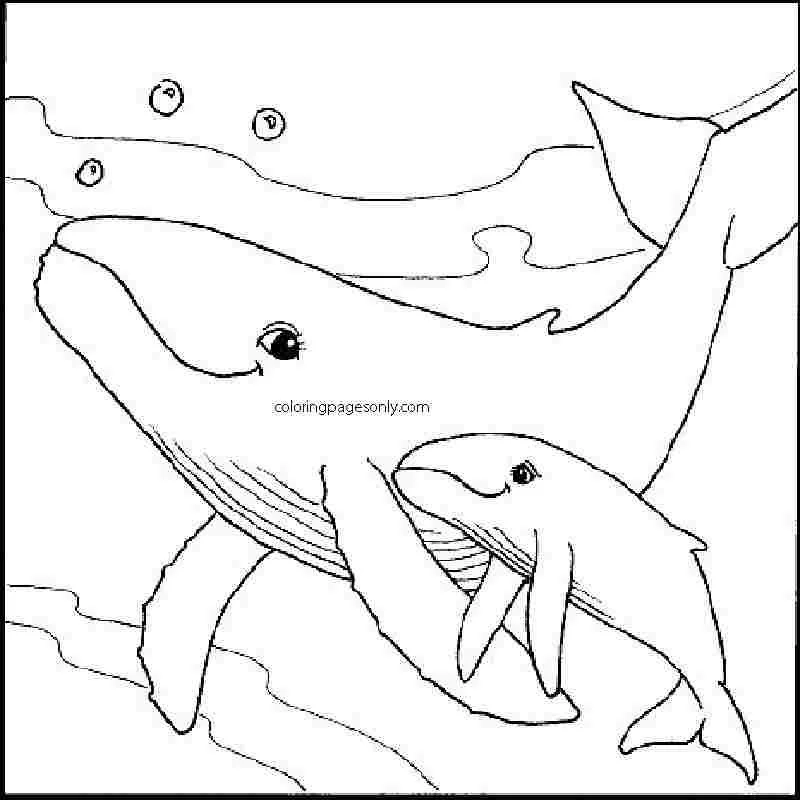 Desenhos de Mares E Oceanos Para Colorir 30