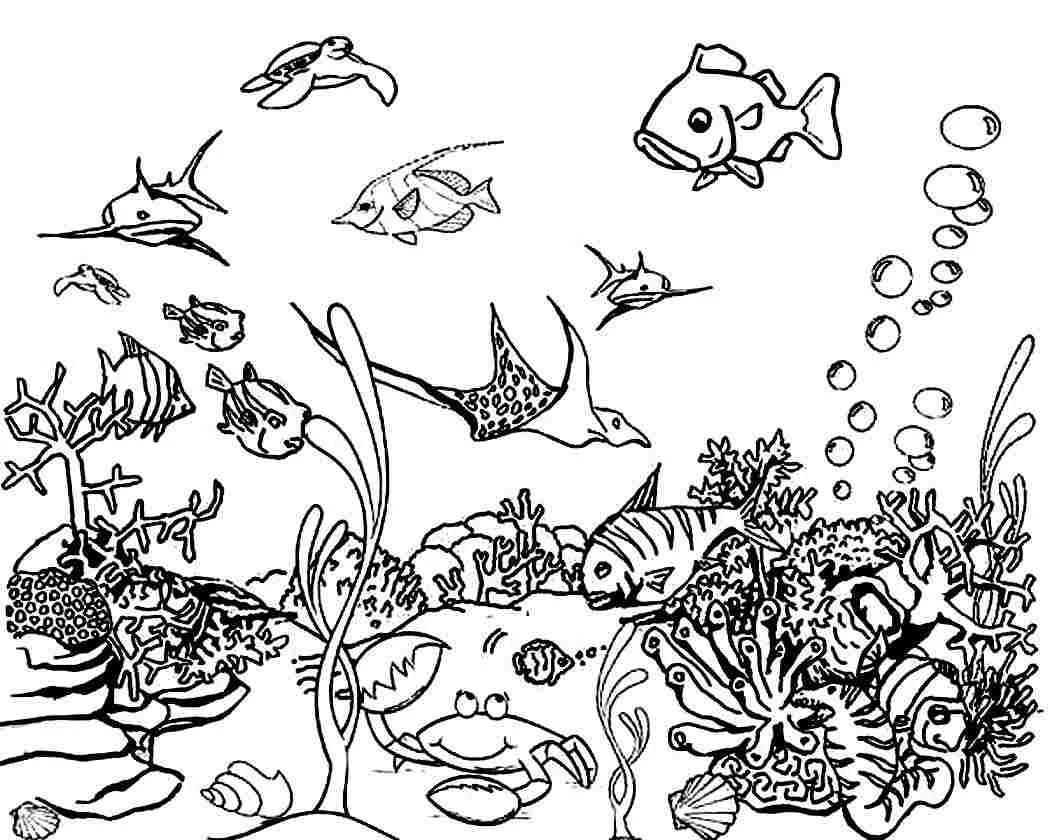 Mares Y Oceanos Para Colorear 34
