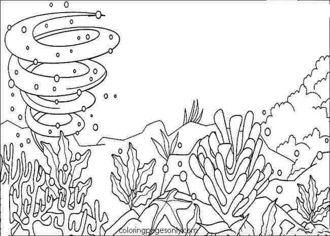 Desenhos de Mares E Oceanos Para Colorir 36