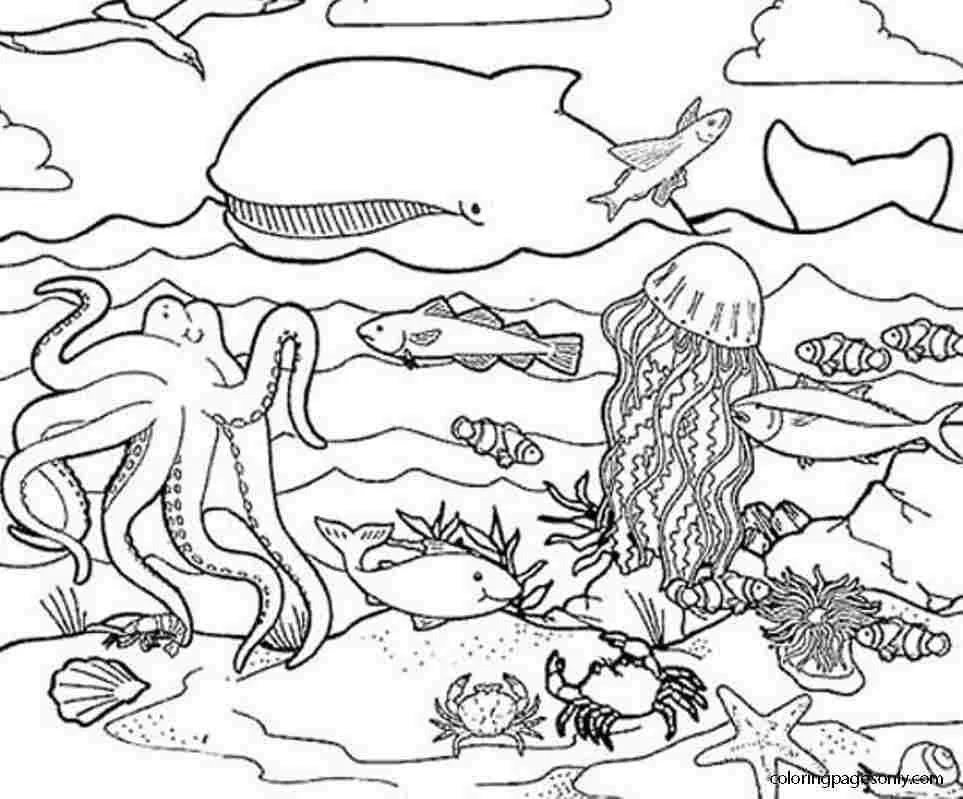 Desenhos de Mares E Oceanos Para Colorir 41
