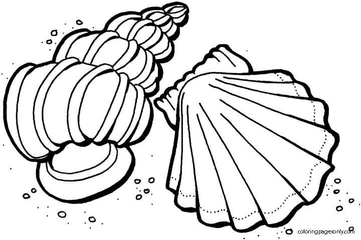 Desenhos de Mares E Oceanos Para Colorir 44