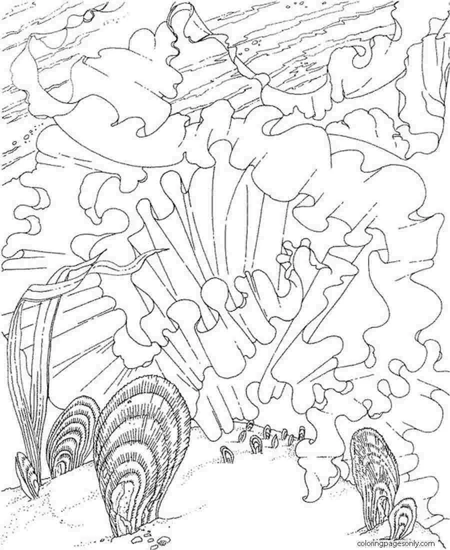 Desenhos de Mares E Oceanos Para Colorir 46