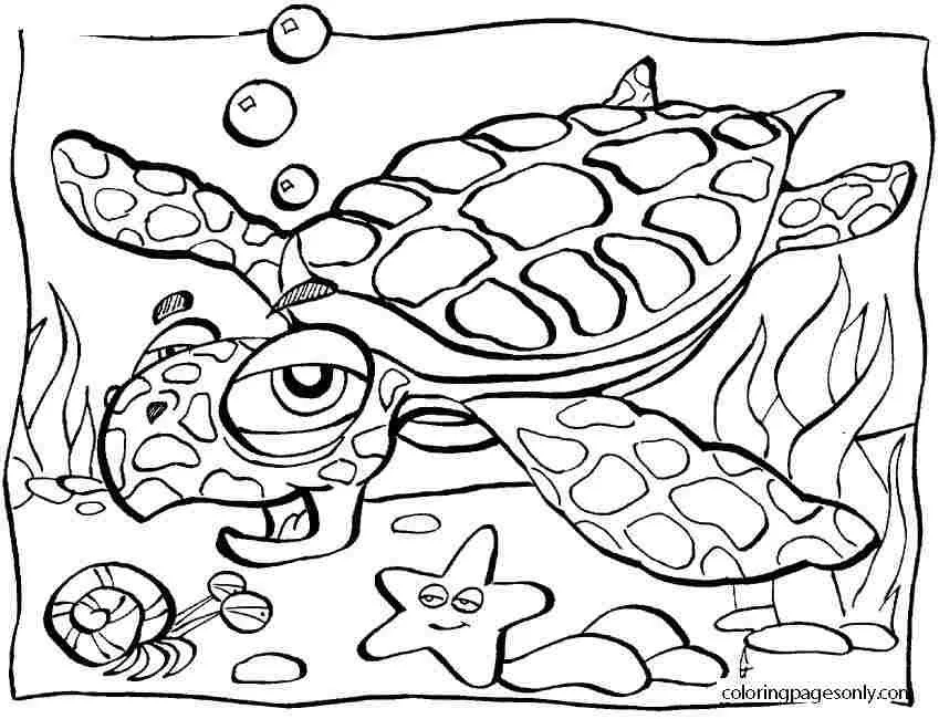 Desenhos de Mares E Oceanos Para Colorir 47