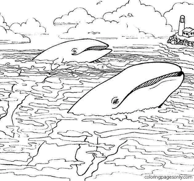 Mares Y Oceanos Para Colorear 48