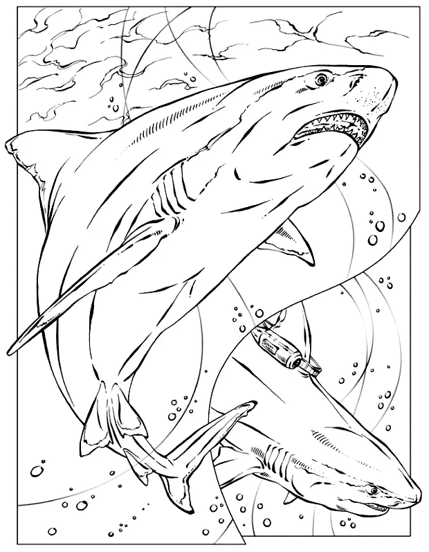 Desenhos de Shark Para Colorir 49