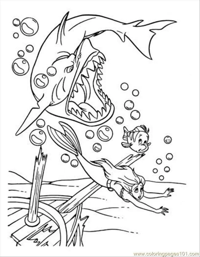Shark Coloring Pages 56