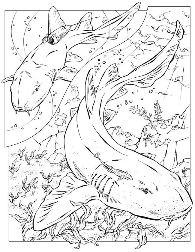Shark Coloring Pages 57