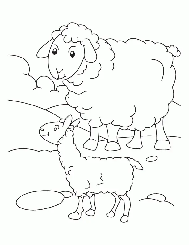 Schaf Ausmalbilder 15