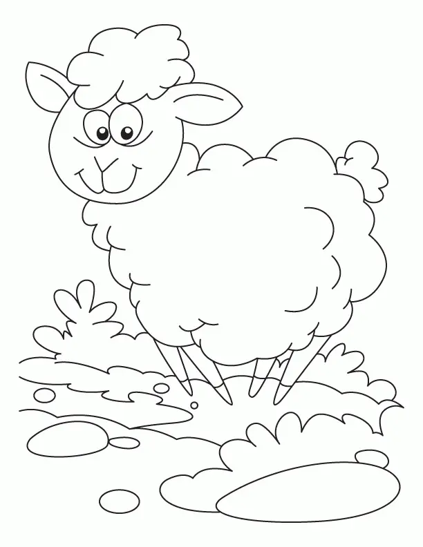 Schaf Ausmalbilder 27