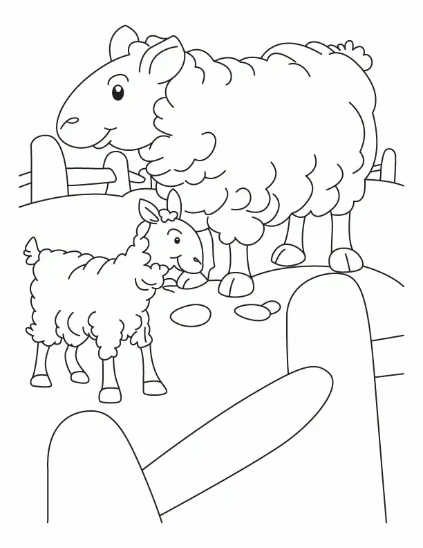 Schaf Ausmalbilder 35