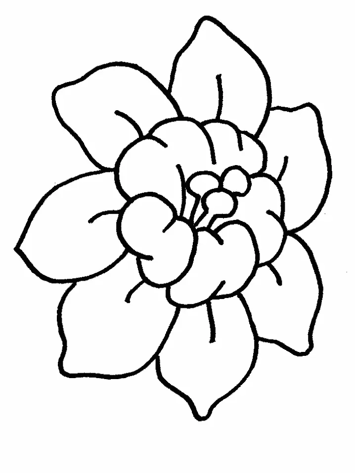 Desenhos de Flor Simples Para Colorir 11