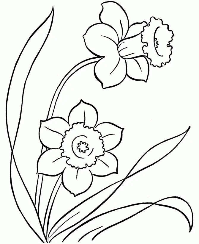 Desenhos de Flor Simples Para Colorir 13