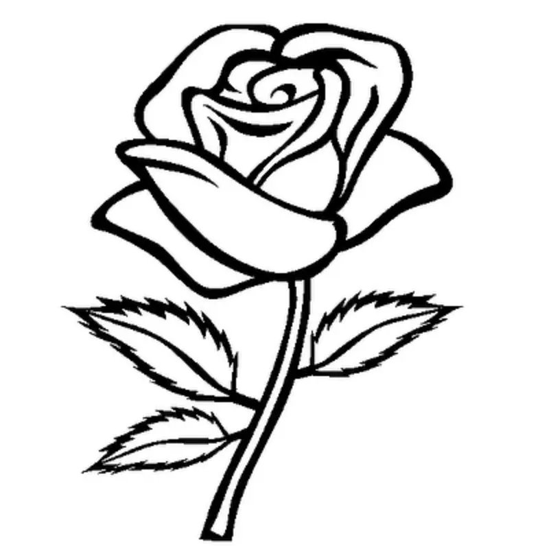 Desenhos de Flor Simples Para Colorir 25