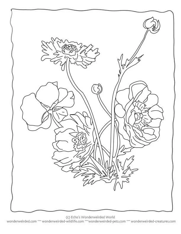 Simple Flower Coloring Pages 27